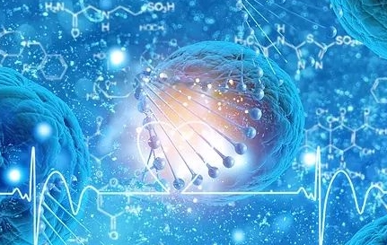 科学解密：NAD+对人体的重要性！