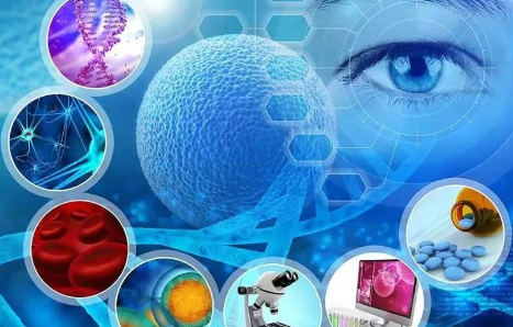 生命科学领域三大奇迹之一：NAD+的抗衰之路