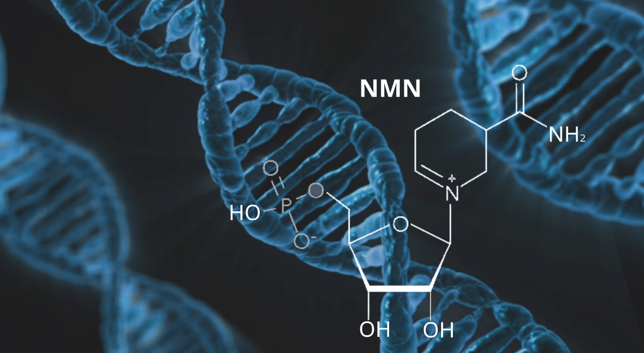 NMN抗衰老之科学性|首个大规模中国人群NAD+与衰老研究结果发布
