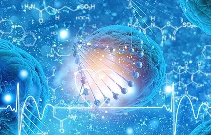 最新研究！NAD+改善免疫细胞（NK）增殖能力和活性