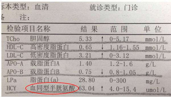 除了“三高”，还要小心这一高——同型半胱氨酸（Hcy）